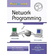Network Programming