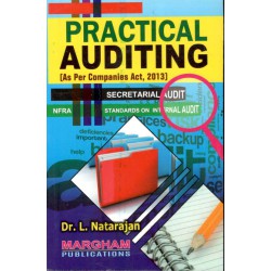 Practical Auditing Practical Auditing