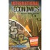 International Economics