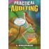 Practical Auditing